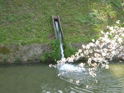 写真:辻栄橋における浅層地下水の利用