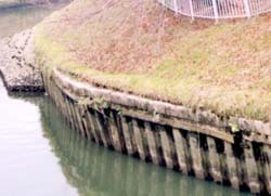 写真:昭和初期につくられた矢板護岸が、腐食してきている様子