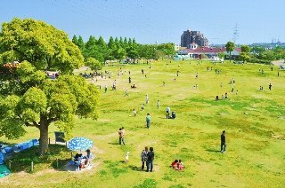 写真：戸田川緑地