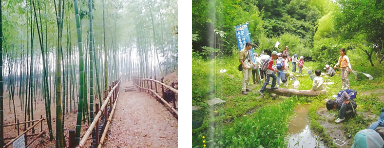 写真：遊歩道と活動の様子