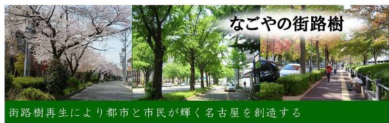 写真：街路樹のある緑ゆたかな街並み