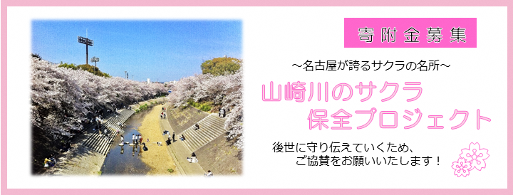 寄付金募集　名古屋が誇るサクラの名所　山崎川のサクラ保全プロジェクト　後世に守り伝えていくため、ご協賛をお願いいたします！