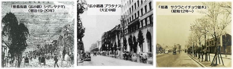 明治19年、20年の時の笹島街道(広小路)のシダレヤナギ、大正中ごろの広小路通りのプラタナス、昭和12年の桜通りのサクラとイチョウ並木の画像です。