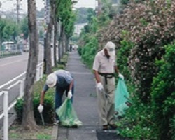 写真:除草活動
