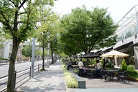 写真:なごや街路樹の景イメージ