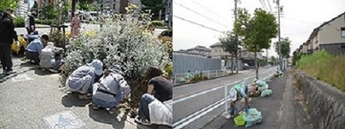 写真:街路樹愛護会の皆様の活動
