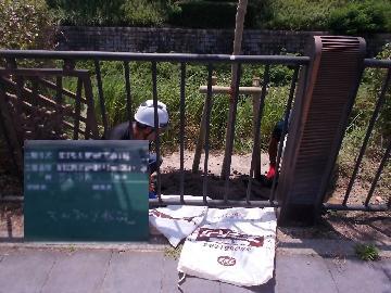 写真：マルチング