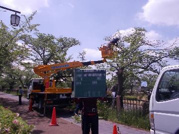 写真：撤去の様子1