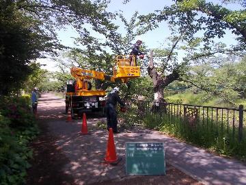 写真：撤去の様子2