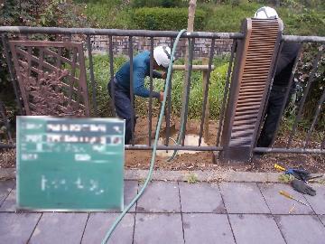 写真：植え替えの様子2