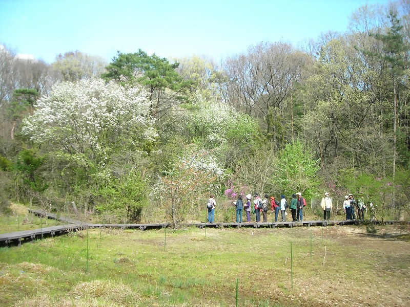 写真:緑のパートナー
