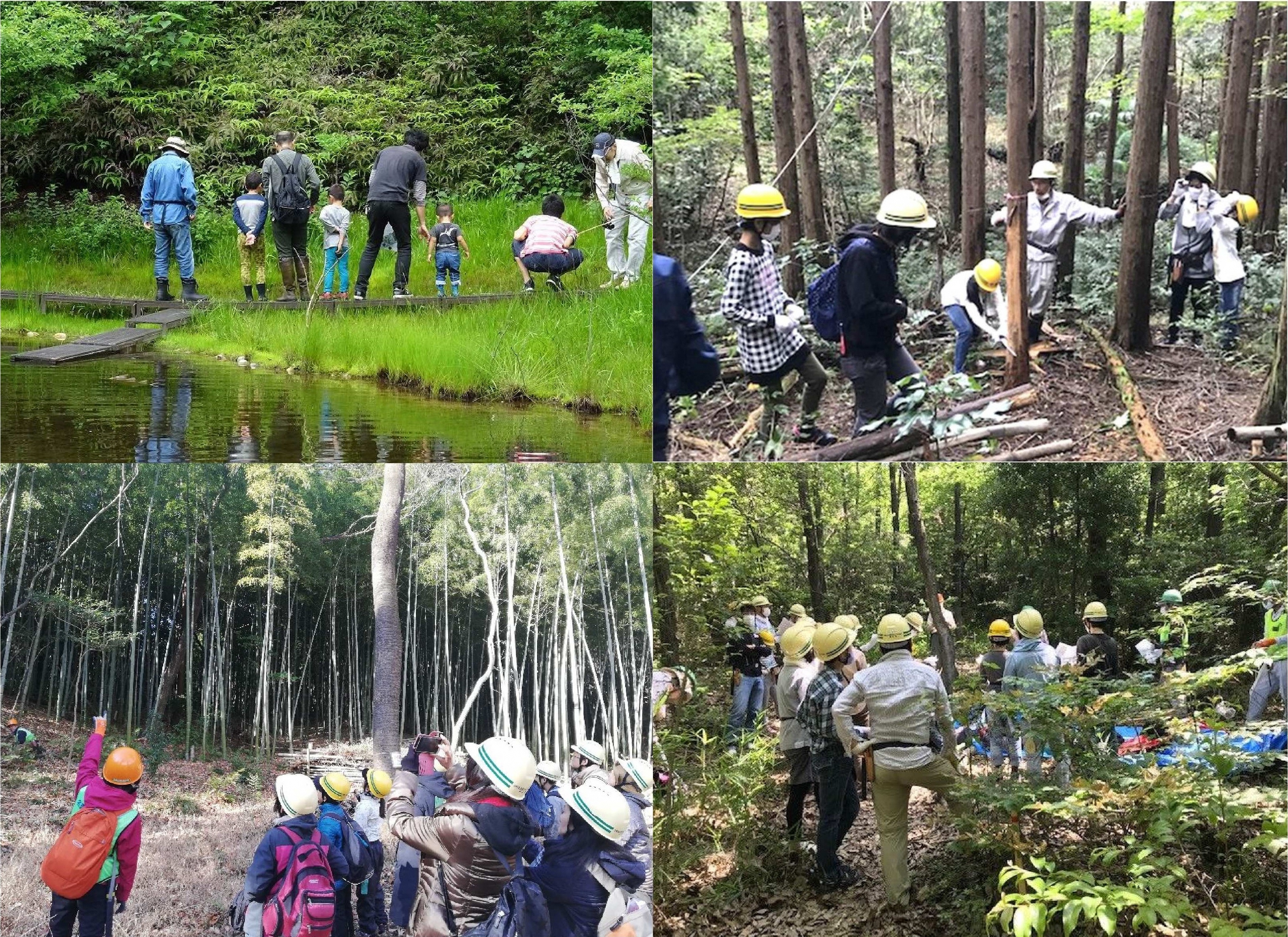 写真：市民とともに進める森づくり
