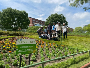 写真：白鳥公園の花壇