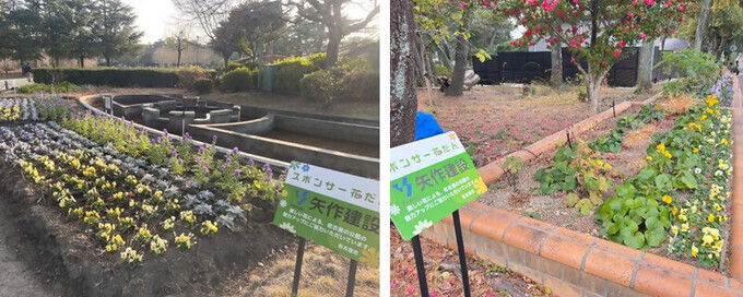 写真：鶴舞公園　噴水等花壇、北道路沿い花壇