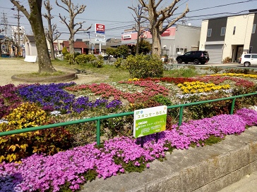 写真:宮裏公園花壇