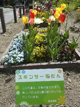 写真:久屋大通公園エンゼル広場花壇