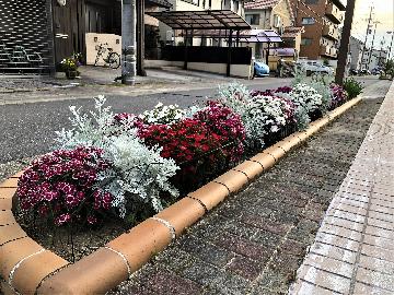 写真:比良まなびの道の花壇