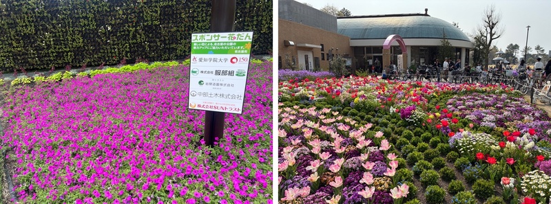 写真:名城公園フラワープラザ(IGアリーナ前)