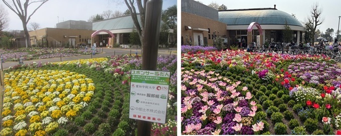 写真：名城公園フラワープラザ（IGアリーナ前）