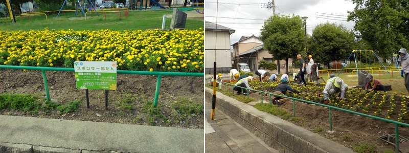 写真:宮裏公園花壇
