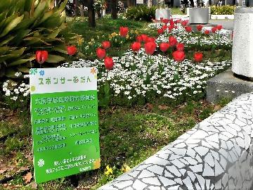 写真:六反公園花壇