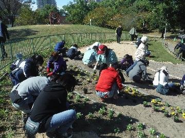 写真:白鳥公園の花壇