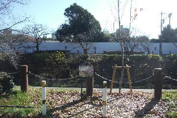 写真：下流側看板