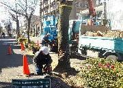 写真：撤去の様子（瑞穂区）