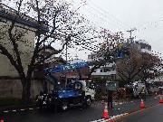写真：撤去の様子（名東区）