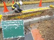 写真：防根シート施工の様子