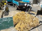 写真：客土混合の様子