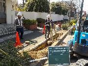 写真：植え付けの様子