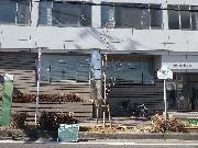 写真：植え付け後の様子