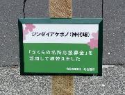 写真：看板（瑞穂区 ジンダイアケボノ）