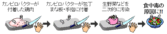 イラスト：生肉に触れた手や調理器具から、菌が生野菜などの食品に移り食中毒を起こすことを表す様子