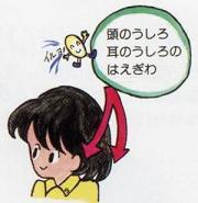 イラスト:後頭部や耳の後ろの生え際に注意を