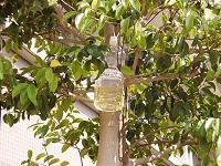 写真：仕かけかた