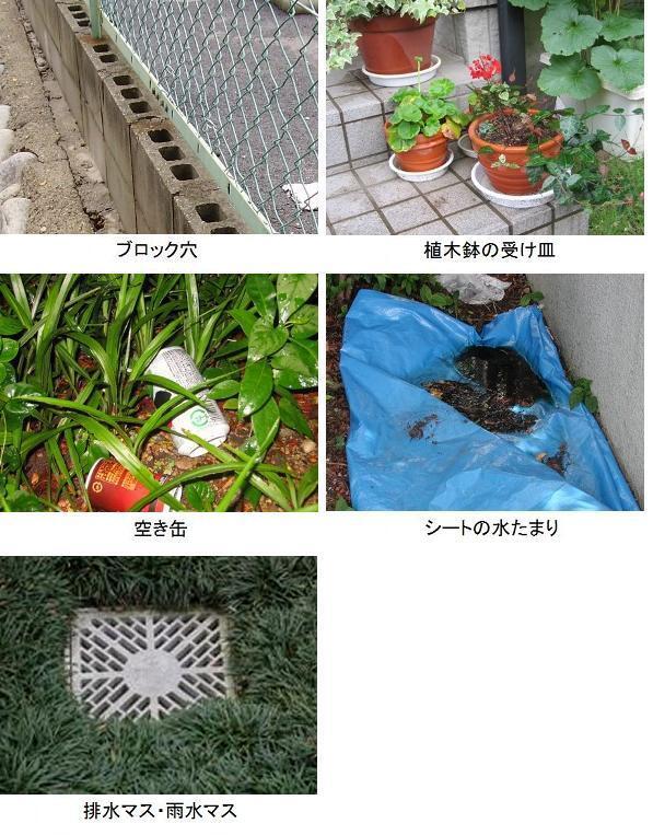 写真：ブロック穴、植木鉢の受け皿、空き缶、シートの水たまり、排水マス、雨水マス
