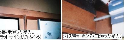 写真：室内の通路及び侵入場所（長押、ガス管引き込み口）