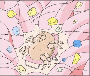 ダニのイラスト