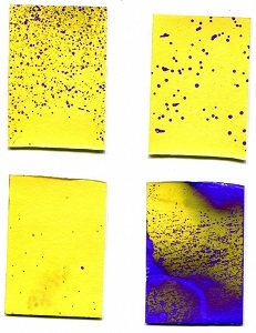 効果判定を行う感水紙の写真