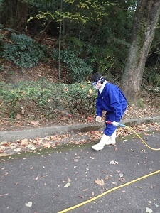 植栽に疑似薬剤とした水を撒いている様子の写真