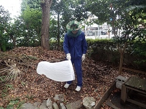 人囮法で蚊を捕まえる様子の写真