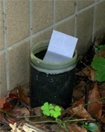 オビトラップの写真です。水と白色ボール紙の入った黒いスチロール瓶を落ち葉のくぼみに埋めています。