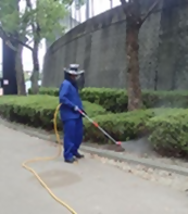 薬剤を散布する人の写真