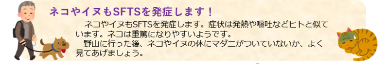 犬と散歩する男性のイラストと具合の悪い猫のイラスト。ネコやイヌもSFTSを発症します。症状は発熱や嘔吐などヒトと似ています。ネコは重篤になりやすいようです。野山に行った後、ネコやイヌの体にマダニがついていないか、よく見てあげましょう。