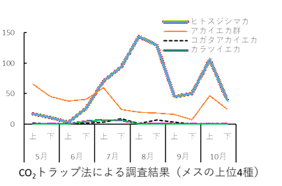 令和7年度の蚊生息調査結果のグラフ