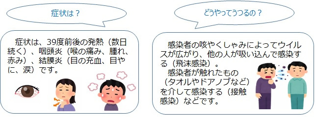 咽頭結膜熱の症状と感染経路説明イラスト