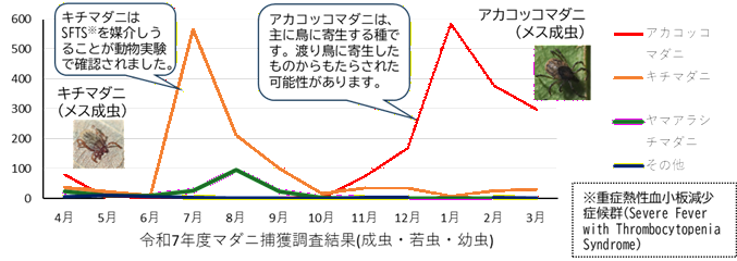 令和7年度のマダニ調査結果のグラフ