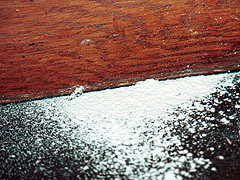 写真:ヒラタキクイムシ類が出した粉状の木屑